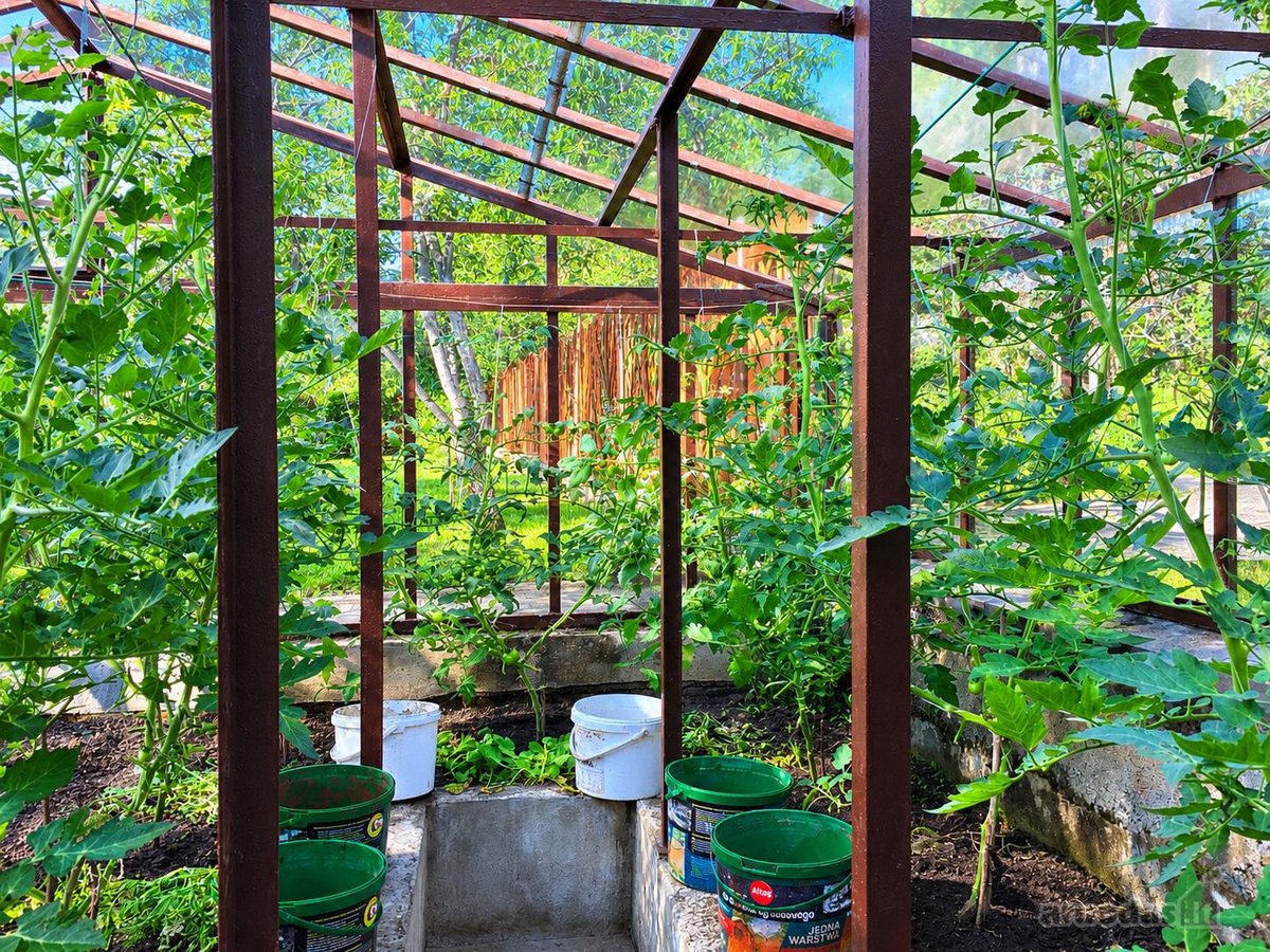 Parduodamas individualaus projekto pilnai - nuotraukos Nr. 29