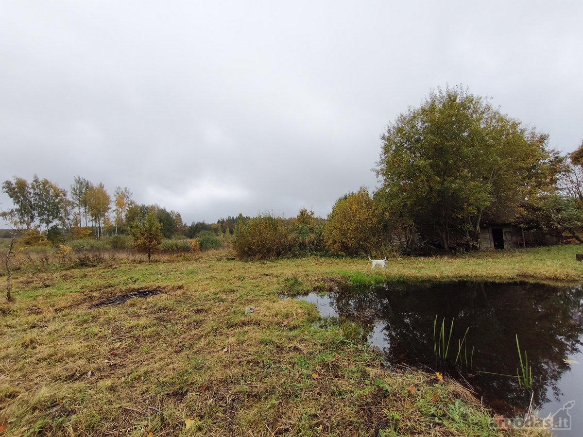 Parduodama erdvi ir privatumą garantuojanti - nuotraukos Nr. 2