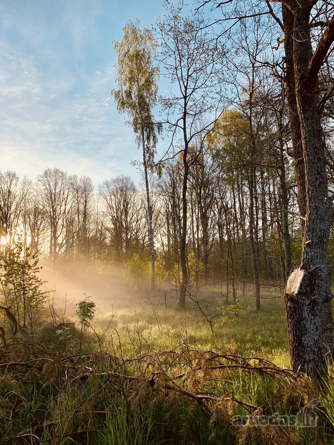Parduodamas įrengtas rąstinis namas - nuotraukos Nr. 36