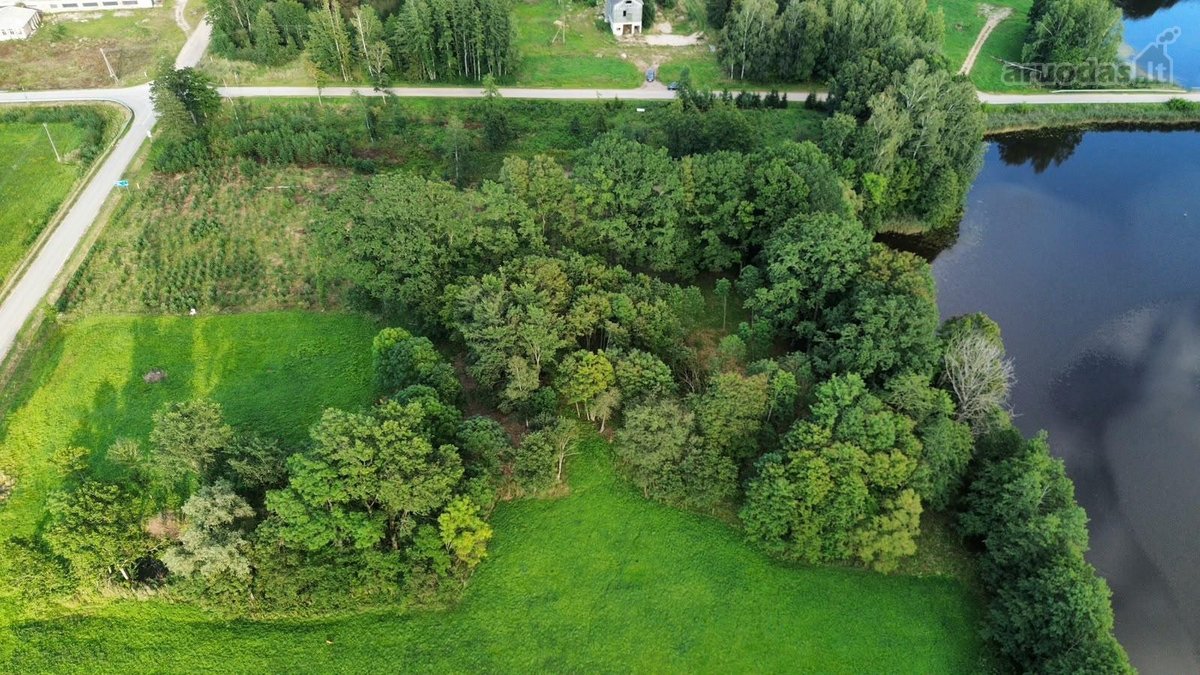 Parduodamas 2,54 ha išpuoselėtas sklypas prie - nuotraukos Nr. 2