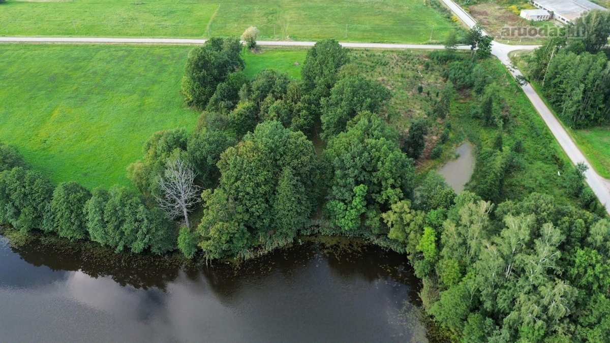 Parduodamas 2,54 ha išpuoselėtas sklypas prie - nuotraukos Nr. 5