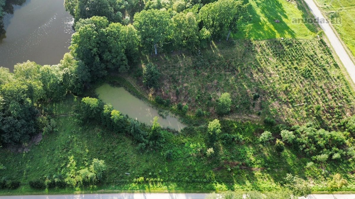 Parduodamas 2,54 ha išpuoselėtas sklypas prie - nuotraukos Nr. 6
