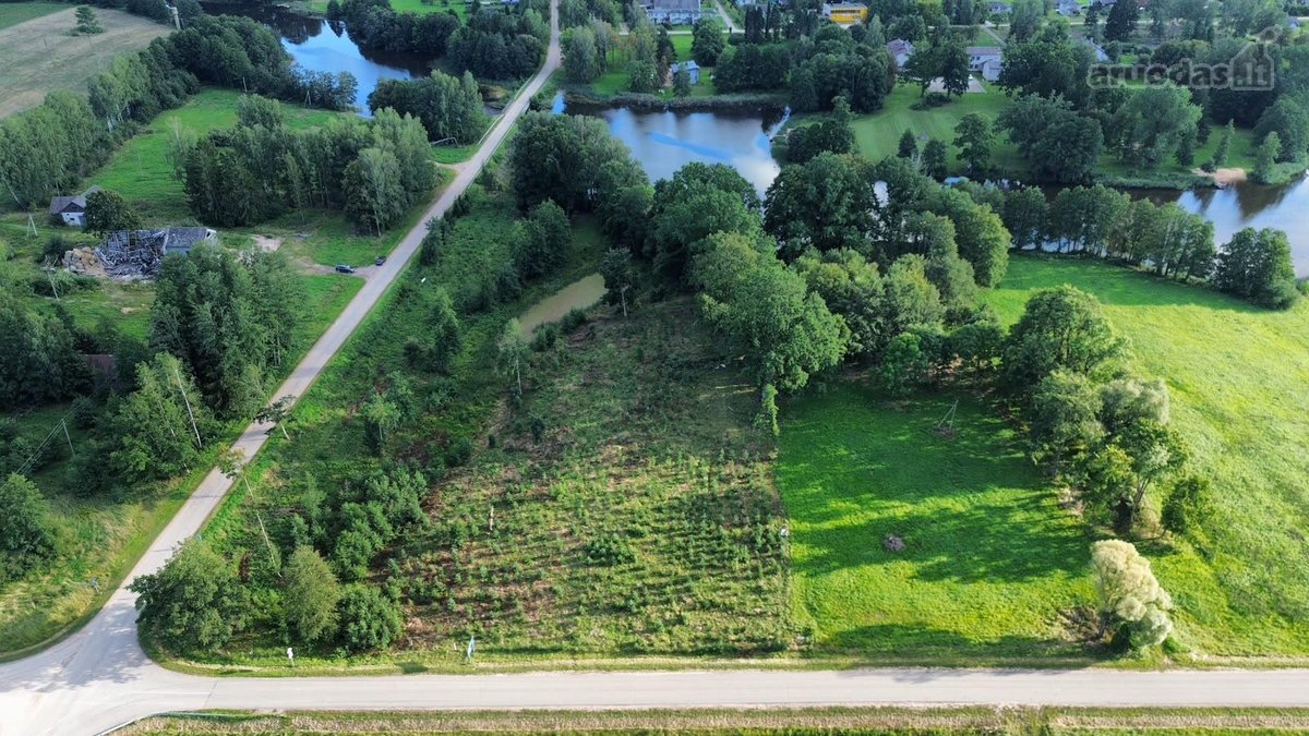 Parduodamas 2,54 ha išpuoselėtas sklypas prie - nuotraukos Nr. 7