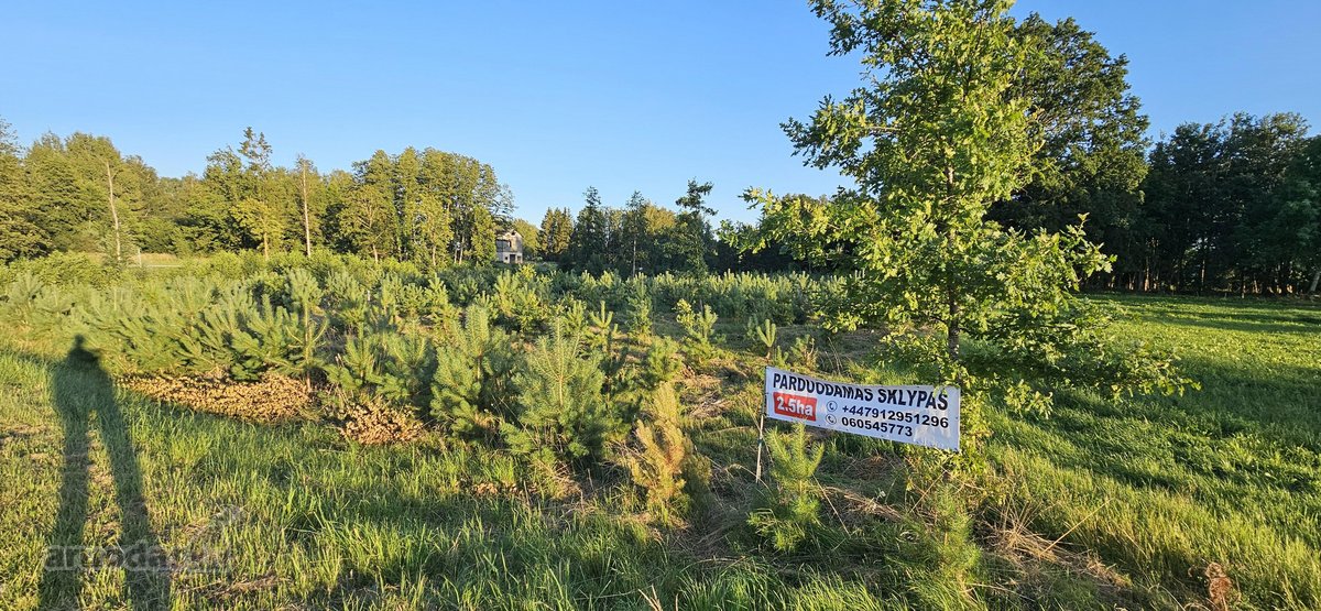 Parduodamas 2,54 ha išpuoselėtas sklypas prie - nuotraukos Nr. 10