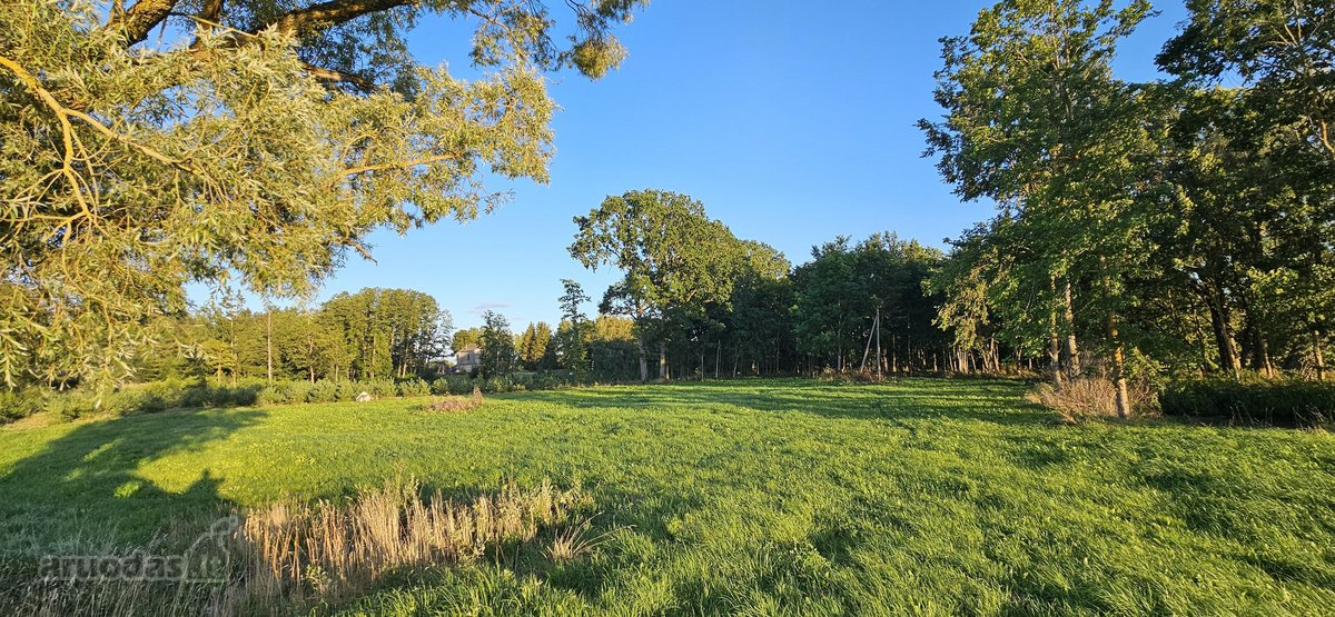 Parduodamas 2,54 ha išpuoselėtas sklypas prie - nuotraukos Nr. 12