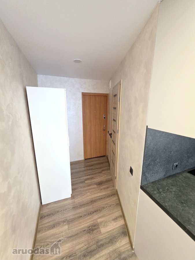Išnuomojamas Labai Tvarkingas 1 Kambario - nuotraukos Nr. 8