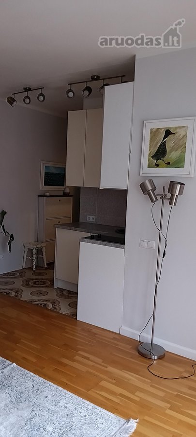 Nuomojamas jaukus, tvarkingas ir šviesus 2 - nuotraukos Nr. 8