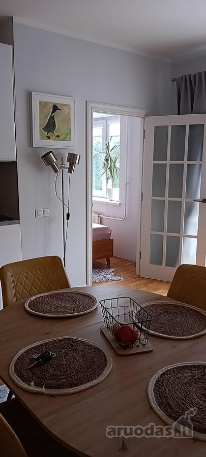 Nuomojamas jaukus, tvarkingas ir šviesus 2 - nuotraukos Nr. 10