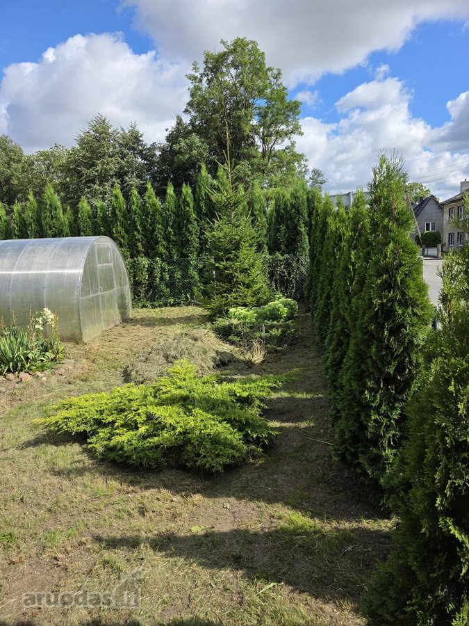 Parduodama sodyba Akmenės mieste – 10 a - nuotraukos Nr. 6