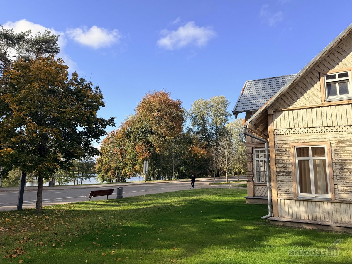 Kultūros paveldo vila „žuvėdra“ – Druskininkų - nuotraukos Nr. 5