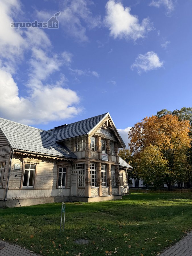 Kultūros paveldo vila „žuvėdra“ – Druskininkų - nuotraukos Nr. 7