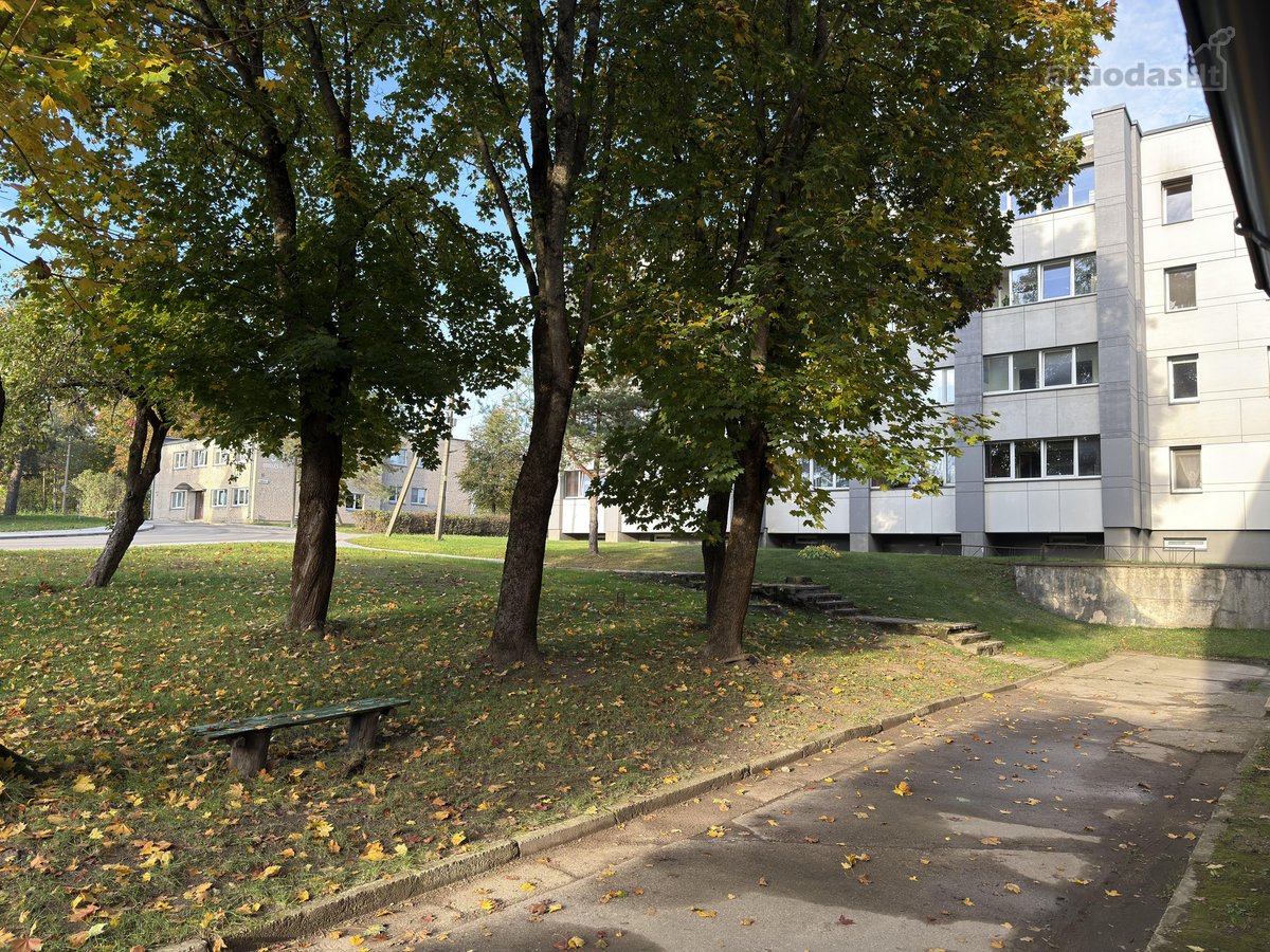 Nuomojamas šviesus, jaukus ir tvarkingas - nuotraukos Nr. 25