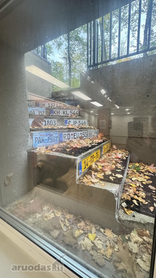 Klaipėdos miesto centre, sportininkų rajone, - nuotraukos Nr. 18