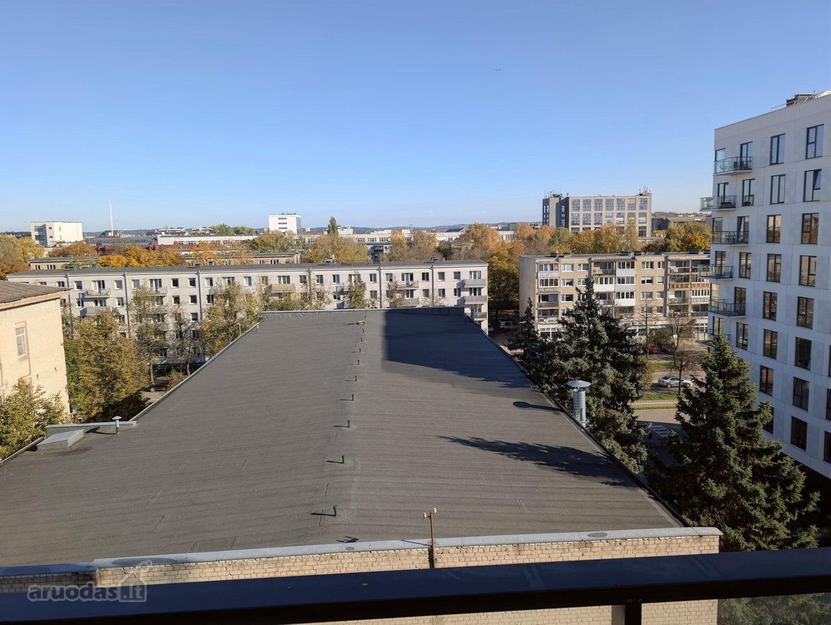 Šviesus 3 kambarių butas Naujamiestyje su - nuotraukos Nr. 8