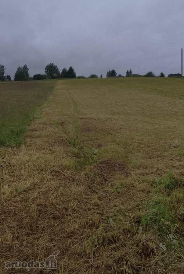 Parduodama sodyba Naudvario km. 2km nuo - nuotraukos Nr. 5
