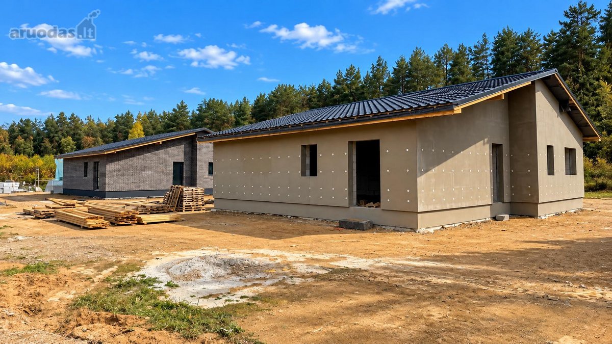 Miško apsuptyje, naujai besiformuojančiame - nuotraukos Nr. 5