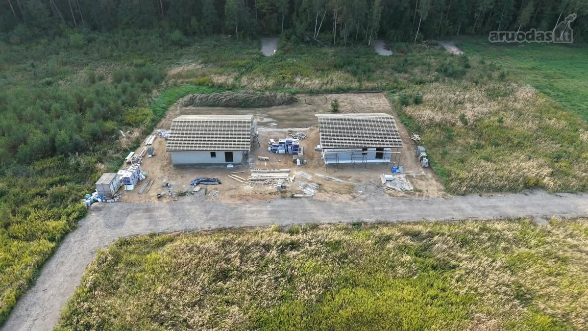Miško apsuptyje, naujai besiformuojančiame - nuotraukos Nr. 9