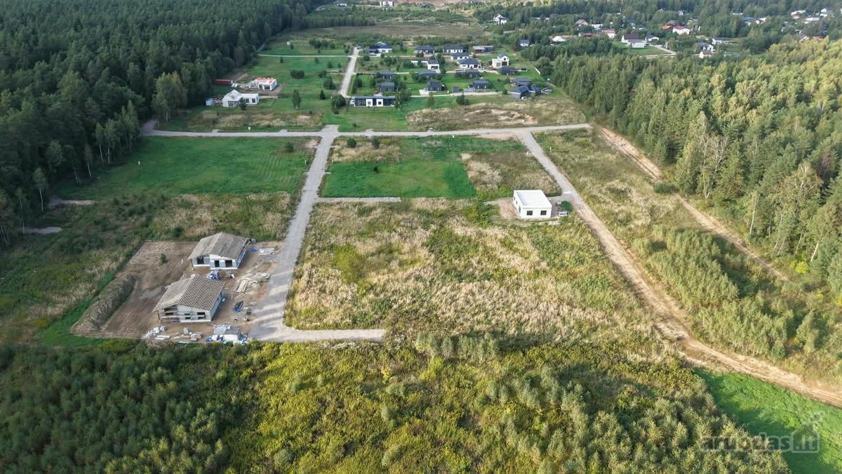 Miško apsuptyje, naujai besiformuojančiame - nuotraukos Nr. 8