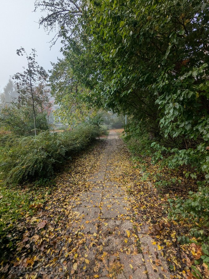 Šviesus 3 Kambarių Butas Lazdynuose: Du - nuotraukos Nr. 33