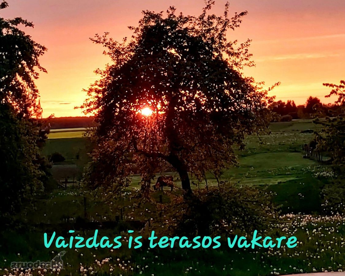 Gyvenamasis plotas – 200 kv. m. - nuotraukos Nr. 13