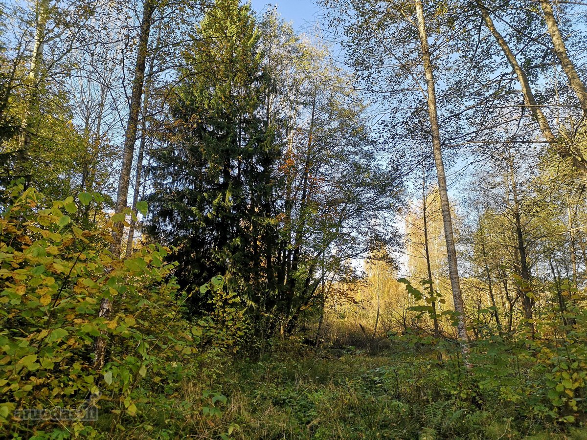 Molėtų r., Inturkės sen., Didžialaukio k. - nuotraukos Nr. 2