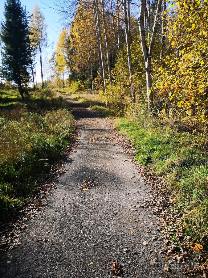 Molėtų r., Inturkės sen., Didžialaukio k. - nuotraukos Nr. 19