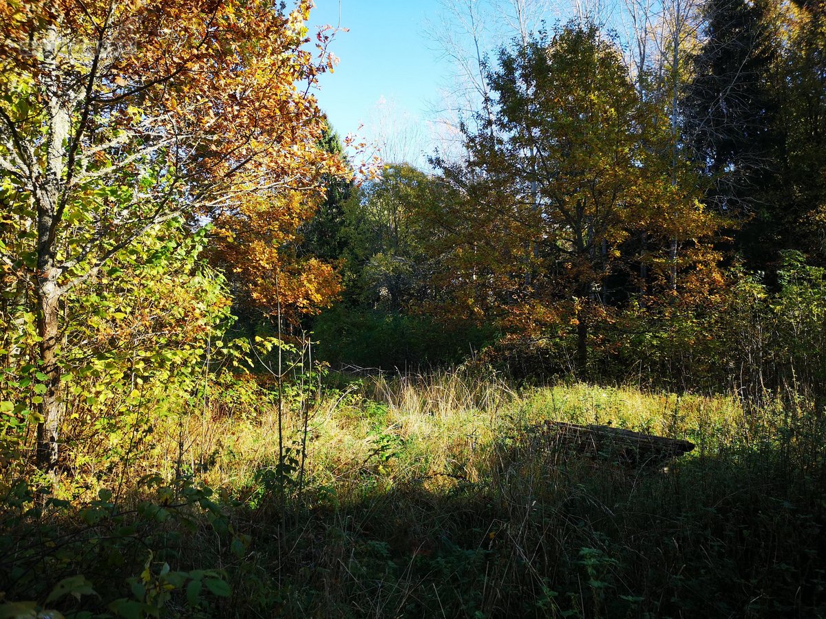 Molėtų r., Inturkės sen., Didžialaukio k. - nuotraukos Nr. 9