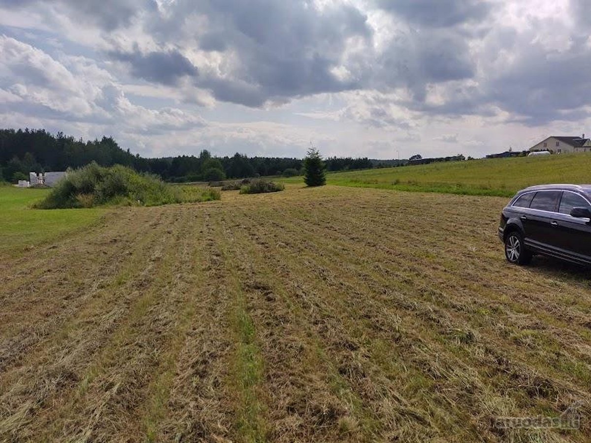 Sklypas 42,51 arų. - nuotraukos Nr. 6