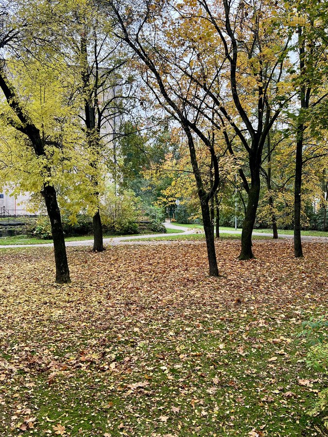 Nuomojamas 2 kambarių butas Vilijampolėje. - nuotraukos Nr. 7