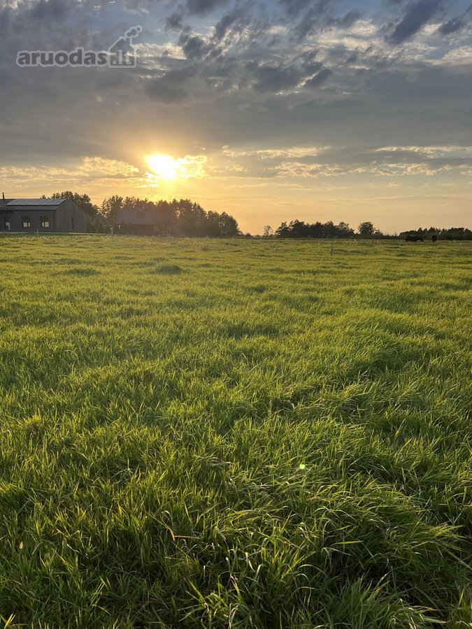 Parduodami du namų valdos sklypai Birštono - nuotraukos Nr. 3