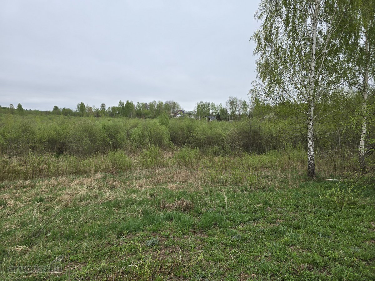 Parduodame 5,84 hektaro žemės ūkio paskirties - nuotraukos Nr. 4