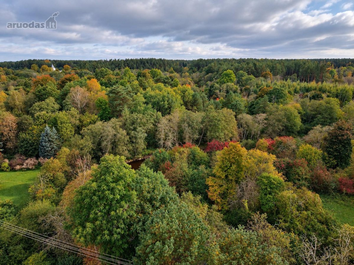 Parduodamas 9,92 A Sodo Sklypas Palangoje, - nuotraukos Nr. 11