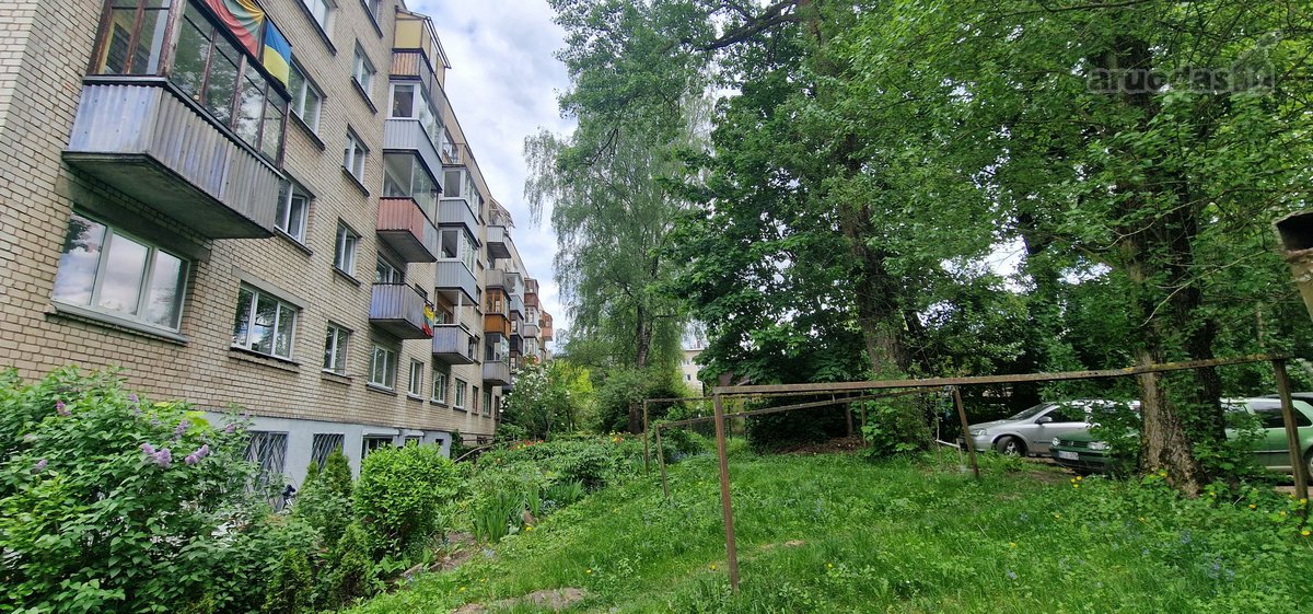 Ne Bendrabutyje! - nuotraukos Nr. 14