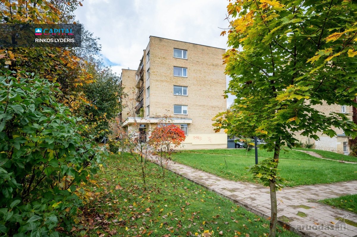 Nuomojamas Erdvus 3 Kambarių Butas Vilniaus - nuotraukos Nr. 23