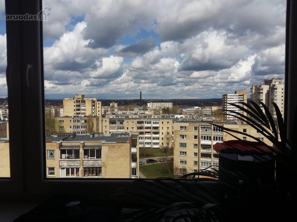 Jaukus ir šiltas vieno kambario butas su - nuotraukos Nr. 11