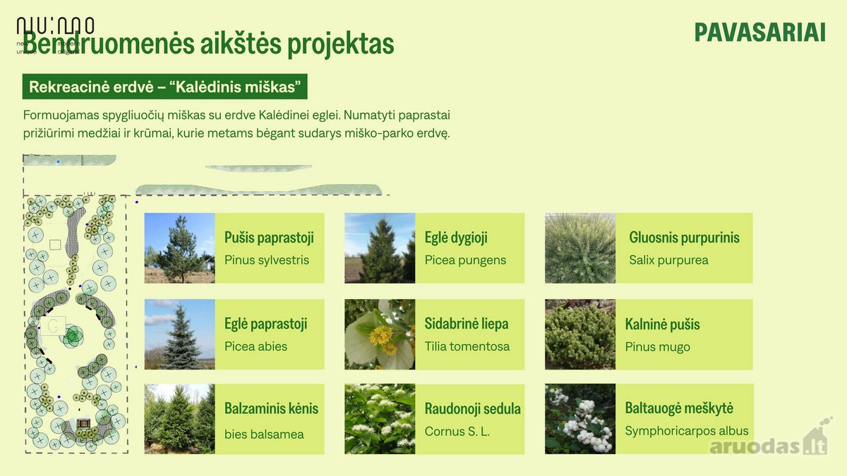 Pavasariai – Naujos Kartos Gyvenvietė! - nuotraukos Nr. 43