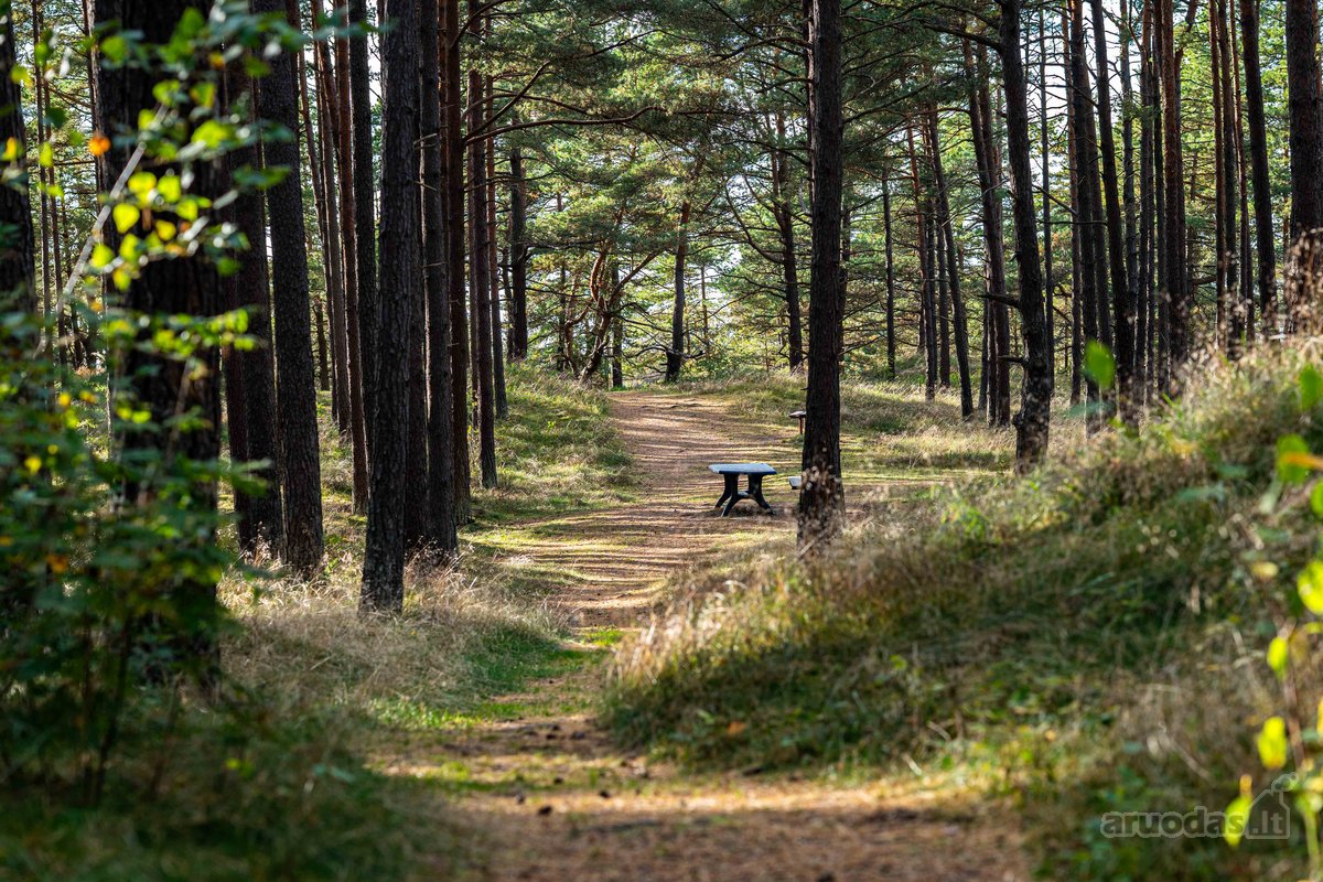 Palangoje, Pirmoje Linijoje Nuo Jūros – - nuotraukos Nr. 10