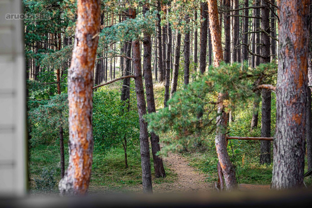 Palangoje, Pirmoje Linijoje Nuo Jūros – - nuotraukos Nr. 11