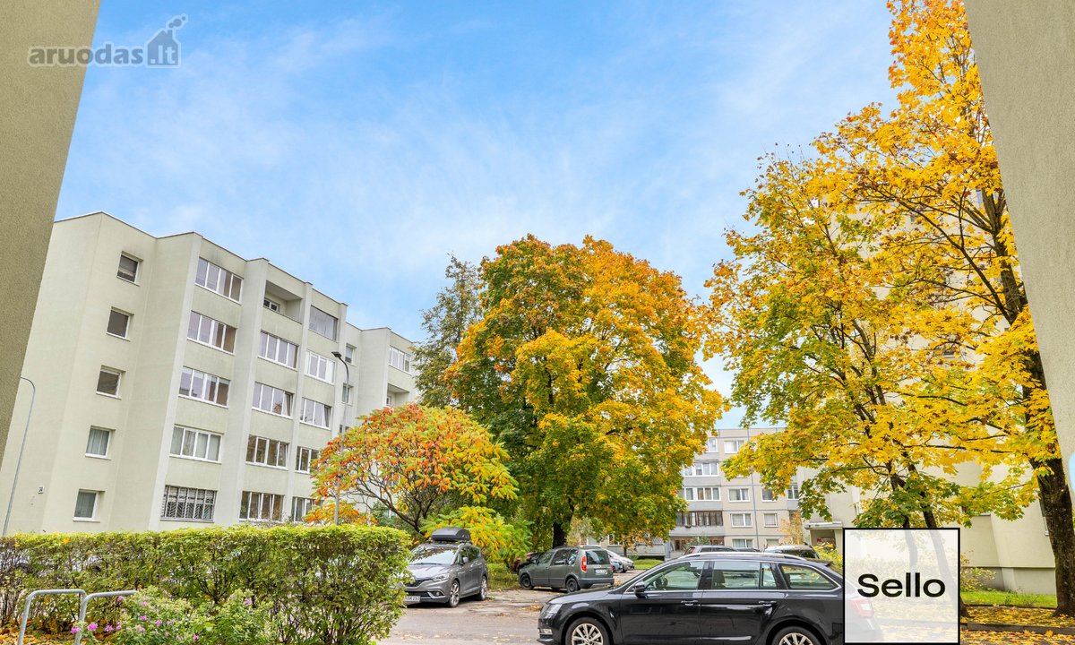  – Nt ekspertai be procentų - nuotraukos Nr. 31
