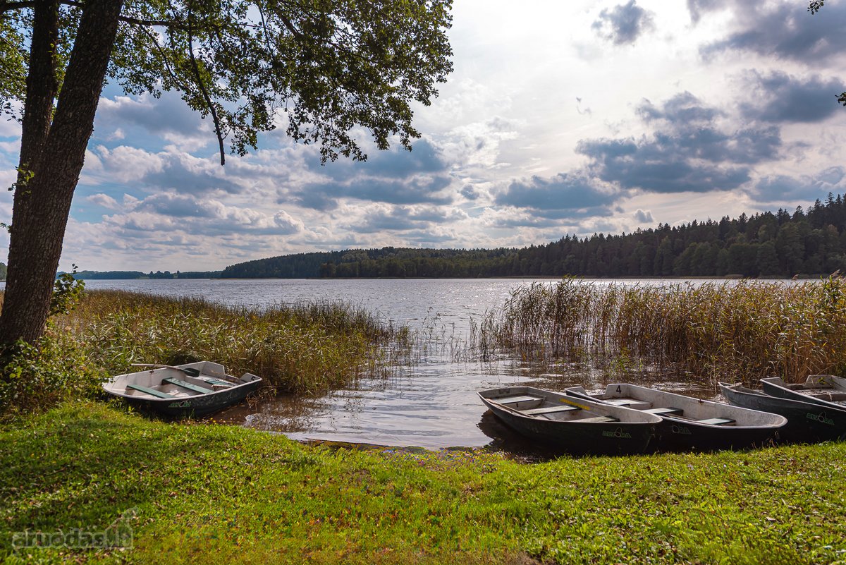 Trakų rajone, Jakovicų kaime parduodamas - nuotraukos Nr. 81