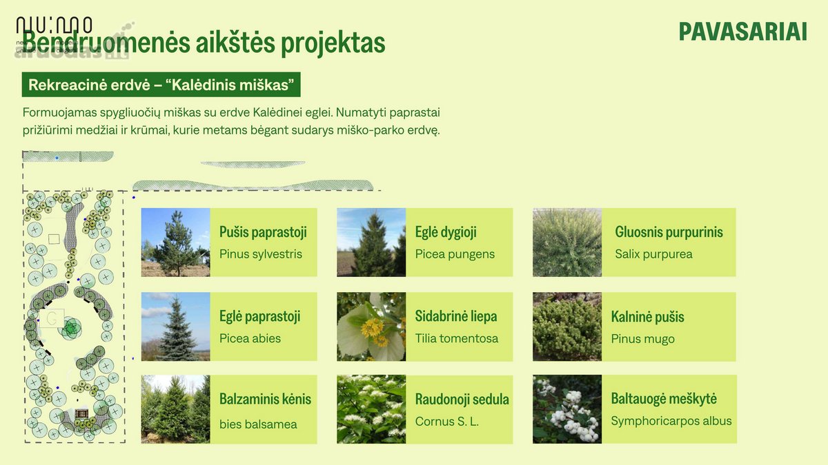 Pavasariai – Naujos Kartos Gyvenvietė! - nuotraukos Nr. 40