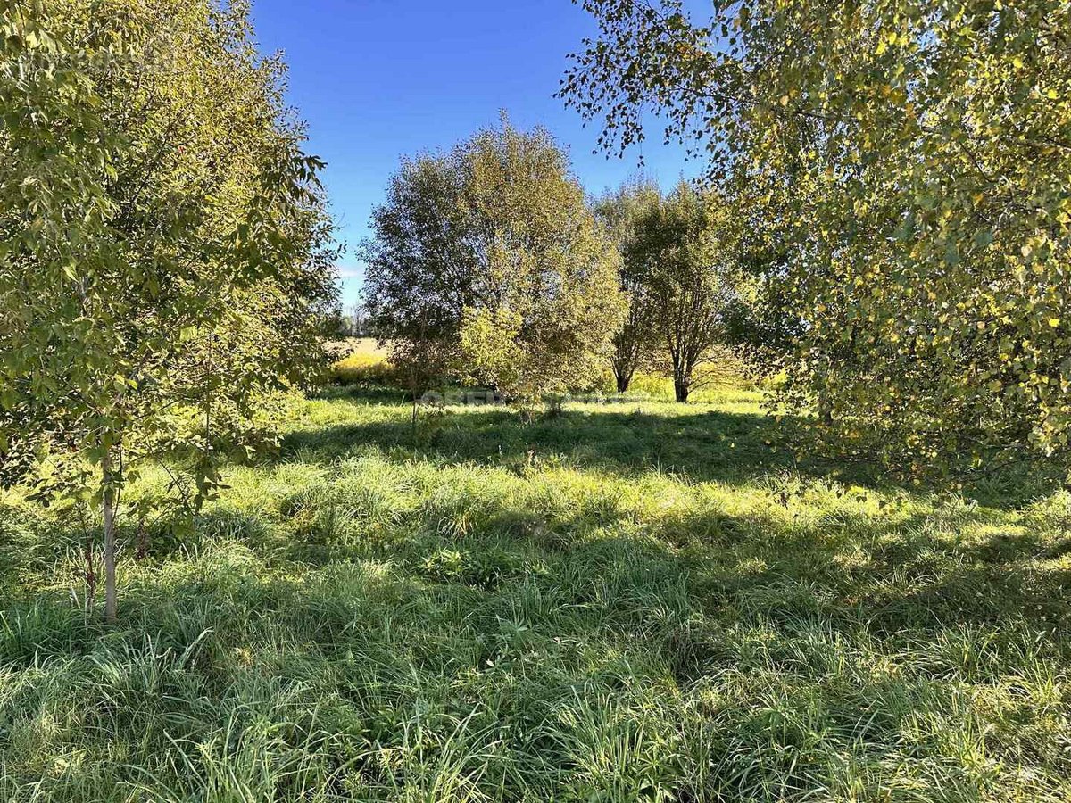 Parduodamas 20 arų sklypas, esantis Rokiškio - nuotraukos Nr. 9