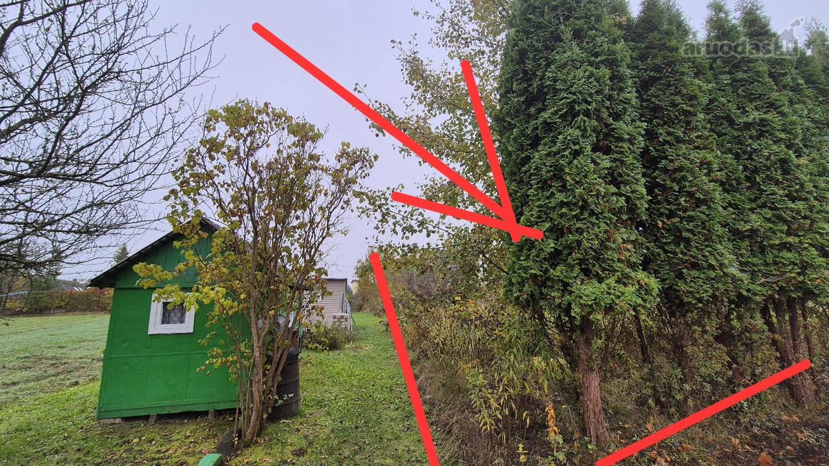 Parduodami 2 Besiribojantys Sodo Sklypai - nuotraukos Nr. 7