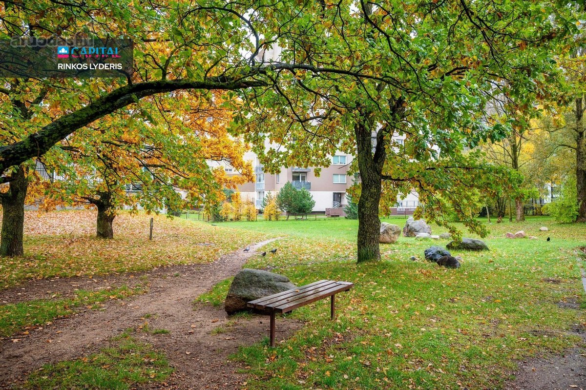 Jaukus Ir Šviesus 2 Kambarių Butas Žirmūnuose - nuotraukos Nr. 19