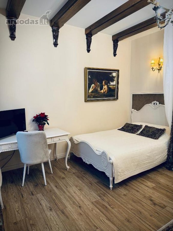 Išskirtiniai Klasikinio Stiliaus Apartamentai - nuotraukos Nr. 4