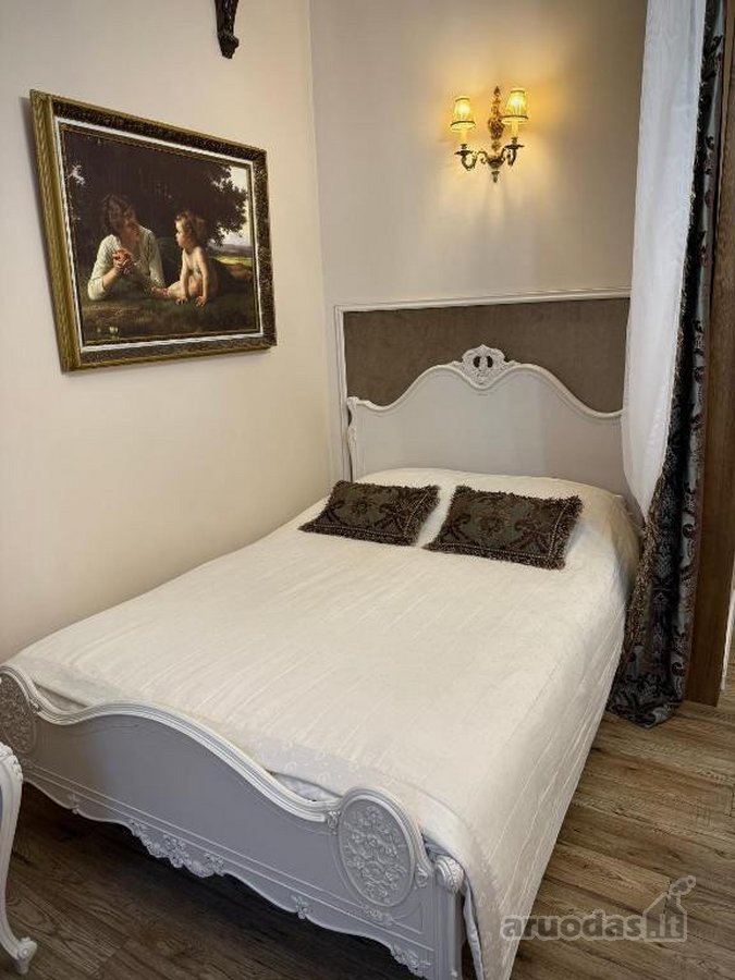 Išskirtiniai Klasikinio Stiliaus Apartamentai - nuotraukos Nr. 5