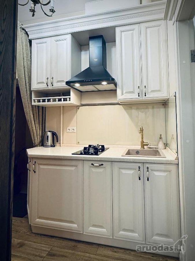 Išskirtiniai Klasikinio Stiliaus Apartamentai - nuotraukos Nr. 9