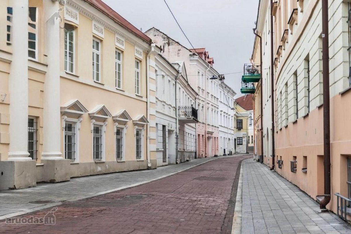 Išskirtiniai Klasikinio Stiliaus Apartamentai - nuotraukos Nr. 15