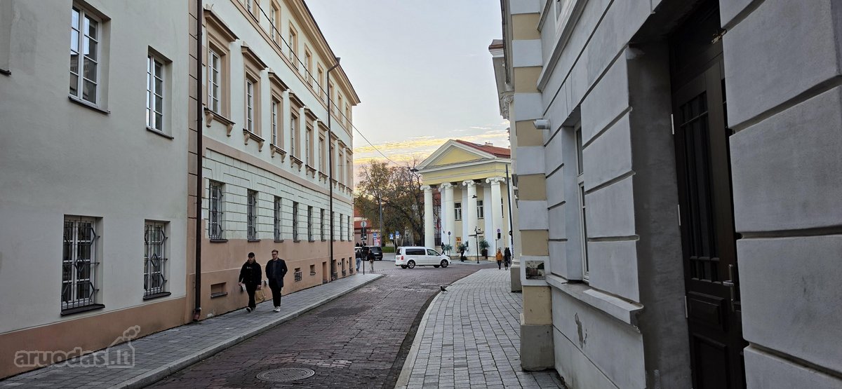 Išskirtiniai Klasikinio Stiliaus Apartamentai - nuotraukos Nr. 16