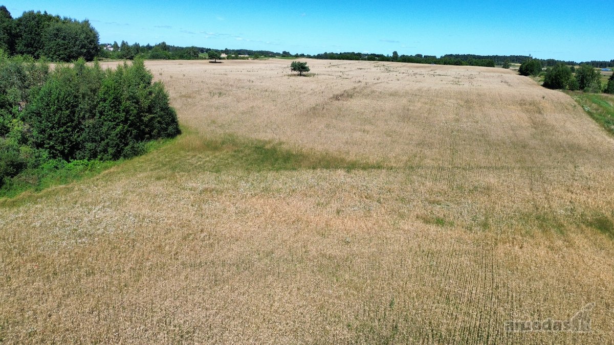Parduodamas 7,79 Ha Ploto Žemės Ūkio - nuotraukos Nr. 11